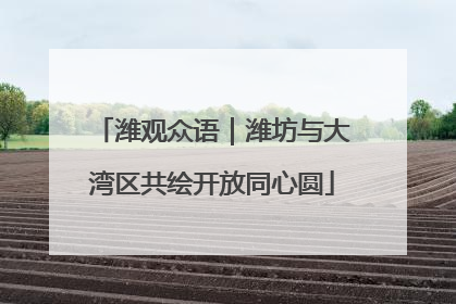 潍观众语｜潍坊与大湾区共绘开放同心圆