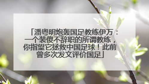 潘粤明炮轰国足教练伊万：一个装傻不辞职的所谓教练，你指望它拯救中国足球！此前曾多次发文评价国足