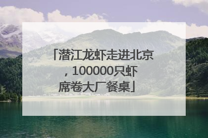 潜江龙虾走进北京，100000只虾席卷大厂餐桌