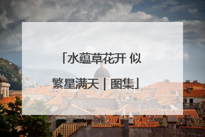 水蕴草花开 似繁星满天｜图集