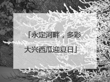 永定河畔，多彩大兴西瓜迎夏日