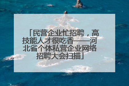 民营企业忙招聘，高技能人才很吃香——河北省个体私营企业网络招聘大会扫描