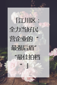 江川区：全力当好民营企业的“最强后盾”“最佳拍档”