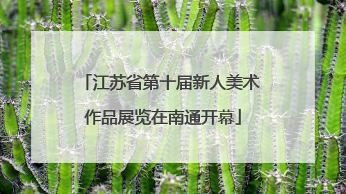 江苏省第十届新人美术作品展览在南通开幕
