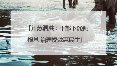 江苏泗洪：干部下沉强根基 治理提效惠民生