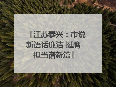 江苏泰兴：市说新语话廉洁 挺膺担当谱新篇
