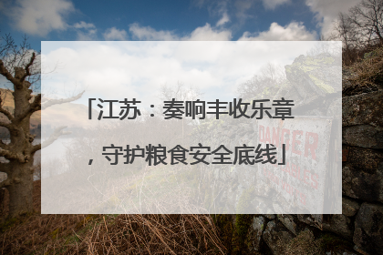 江苏：奏响丰收乐章，守护粮食安全底线