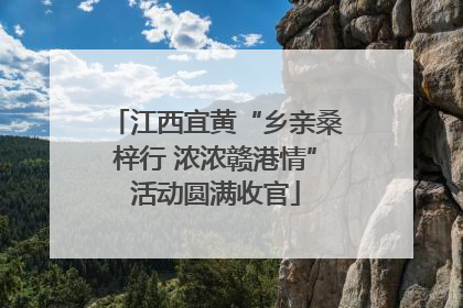 江西宜黄“乡亲桑梓行 浓浓赣港情”活动圆满收官