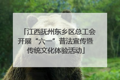 江西抚州东乡区总工会开展“六一”普法宣传暨传统文化体验活动