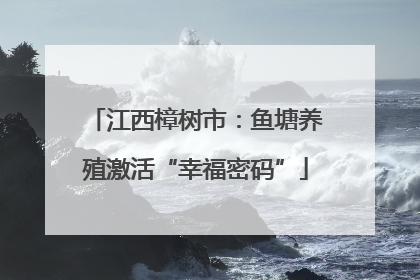 江西樟树市：鱼塘养殖激活“幸福密码”