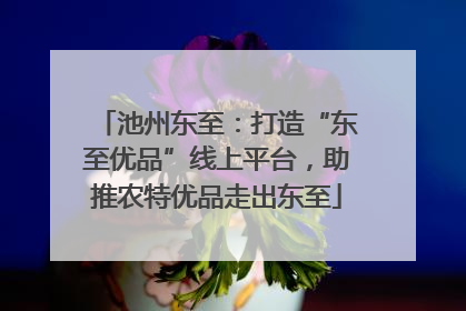 池州东至：打造“东至优品”线上平台，助推农特优品走出东至