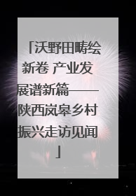 沃野田畴绘新卷 产业发展谱新篇——陕西岚皋乡村振兴走访见闻