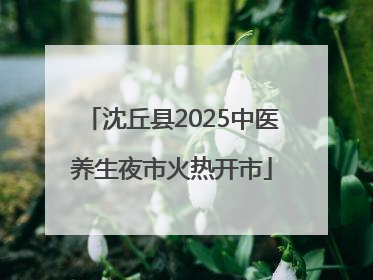 沈丘县2025中医养生夜市火热开市