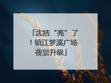 沈括“亮”了！镇江梦溪广场夜景升级