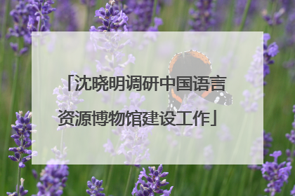 沈晓明调研中国语言资源博物馆建设工作
