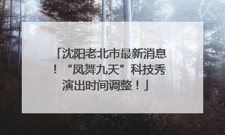 沈阳老北市最新消息！“凤舞九天”科技秀演出时间调整！