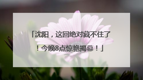 沈阳，这回绝对藏不住了！今晚8点惊艳揭幕！