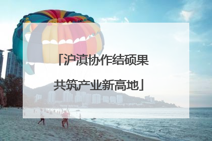沪滇协作结硕果 共筑产业新高地