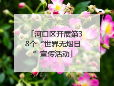河口区开展第38个“世界无烟日”宣传活动