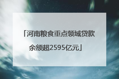 河南粮食重点领域贷款余额超2595亿元