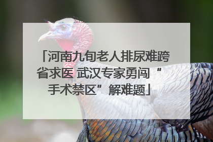 河南九旬老人排尿难跨省求医 武汉专家勇闯“手术禁区”解难题