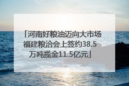 河南好粮油迈向大市场 福建粮洽会上签约38.5万吨揽金11.5亿元