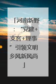 河南新野：“党建+支客+理事”引领文明乡风新风尚