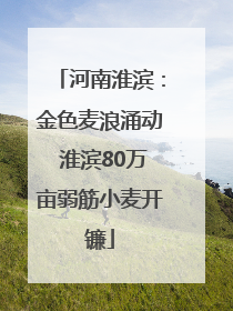 河南淮滨：金色麦浪涌动 淮滨80万亩弱筋小麦开镰