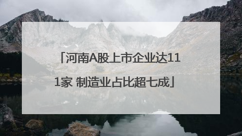 河南A股上市企业达111家 制造业占比超七成