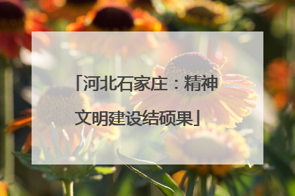 河北石家庄：精神文明建设结硕果