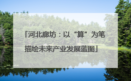 河北廊坊：以“算”为笔描绘未来产业发展蓝图