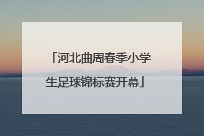 河北曲周春季小学生足球锦标赛开幕