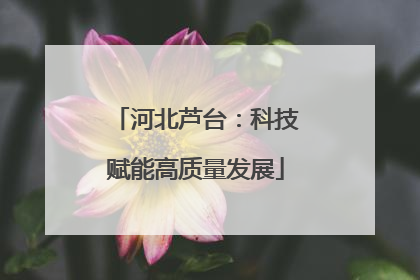 河北芦台：科技赋能高质量发展