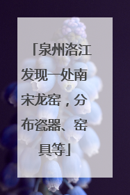 泉州洛江发现一处南宋龙窑，分布瓷器、窑具等