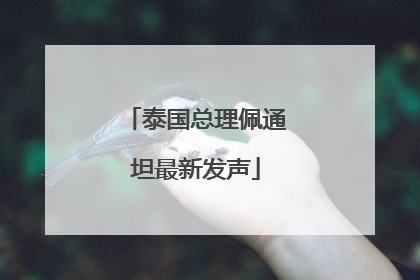 泰国总理佩通坦最新发声
