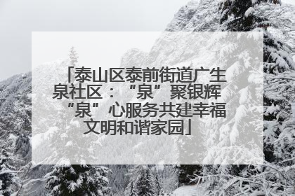 泰山区泰前街道广生泉社区：“泉”聚银辉“泉”心服务共建幸福文明和谐家园