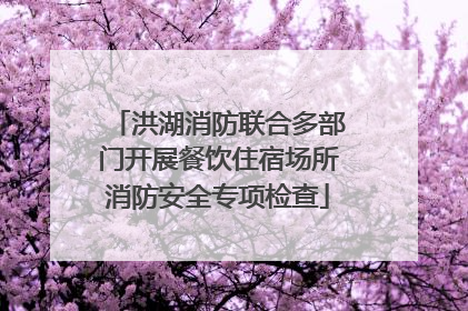 洪湖消防联合多部门开展餐饮住宿场所消防安全专项检查