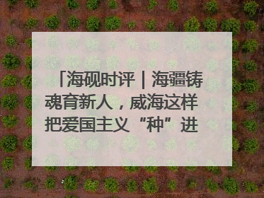 海砚时评｜海疆铸魂育新人，威海这样把爱国主义“种”进年轻人心里