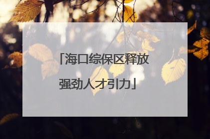 海口综保区释放强劲人才引力