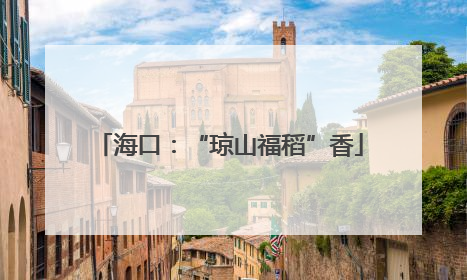 海口：“琼山福稻”香