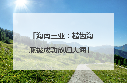 海南三亚：糙齿海豚被成功放归大海
