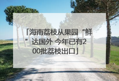 海南荔枝从果园“鲜”达国外 今年已有200批荔枝出口