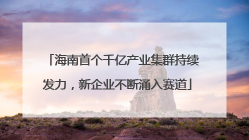 海南首个千亿产业集群持续发力，新企业不断涌入赛道