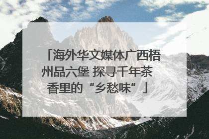 海外华文媒体广西梧州品六堡 探寻千年茶香里的“乡愁味”