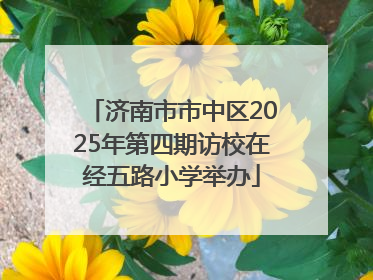 济南市市中区2025年第四期访校在经五路小学举办