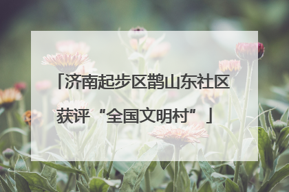济南起步区鹊山东社区获评“全国文明村”