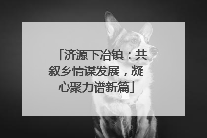 济源下冶镇：共叙乡情谋发展，凝心聚力谱新篇