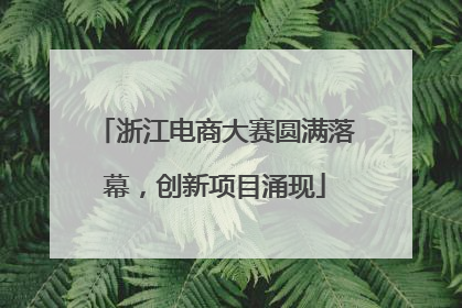 浙江电商大赛圆满落幕，创新项目涌现