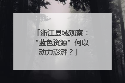 浙江县域观察：“蓝色资源”何以动力澎湃？