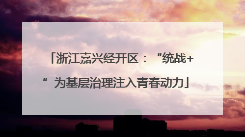 浙江嘉兴经开区：“统战+”为基层治理注入青春动力